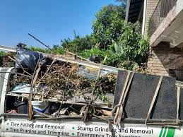 Best Furniture Removal  in Mililani Town, HI